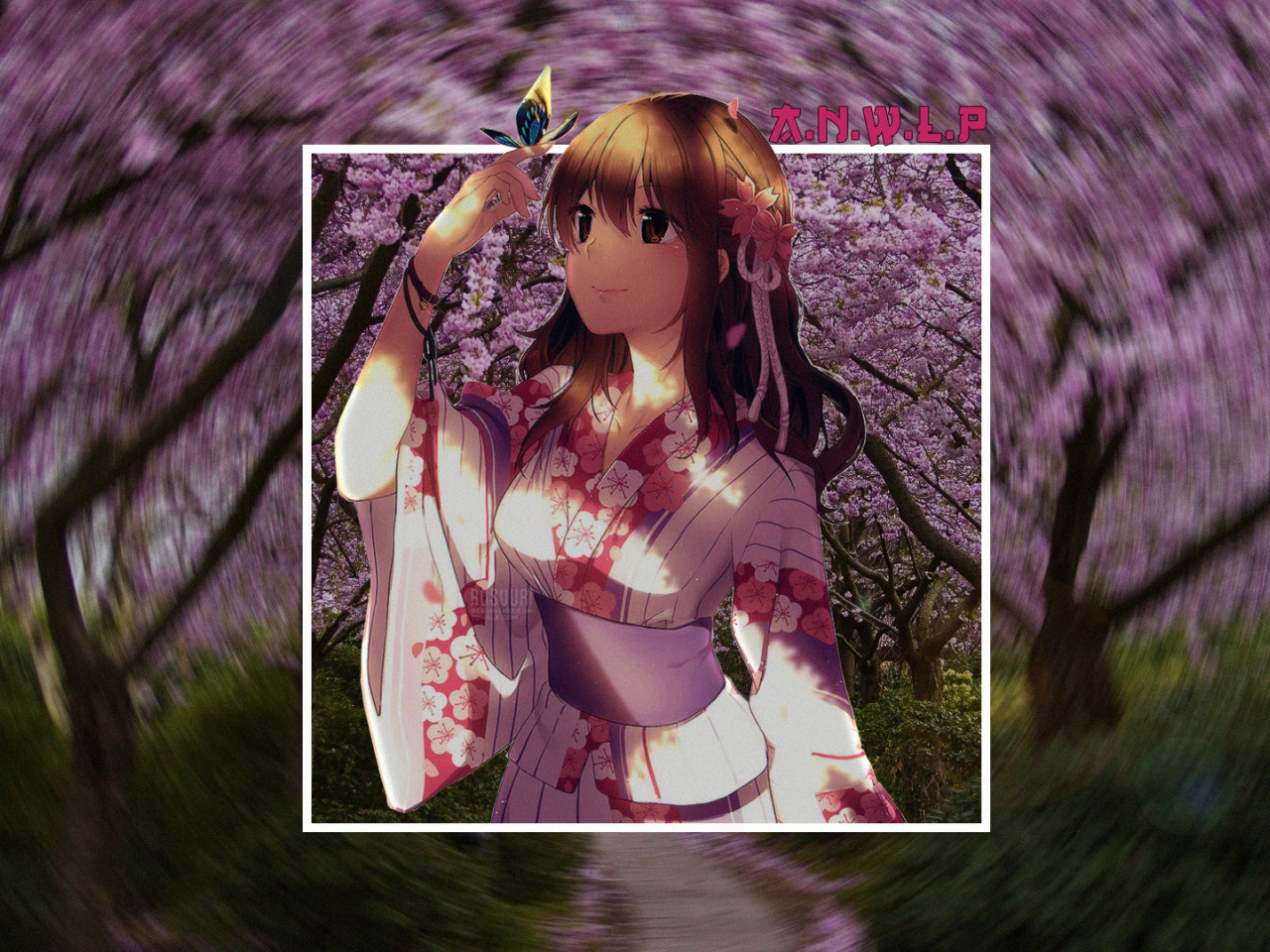 Sakura kawamine uncensored