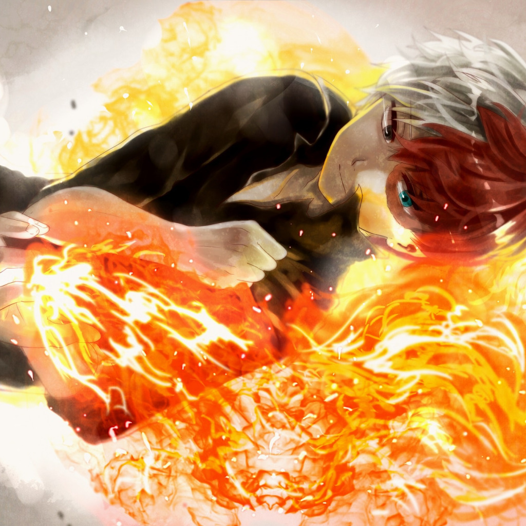 Download Wallpaper Fire Anime Guy Boku No Hero Academy Todoroki Shouto Pixiv Section Shonen In Resolution 1024x1024