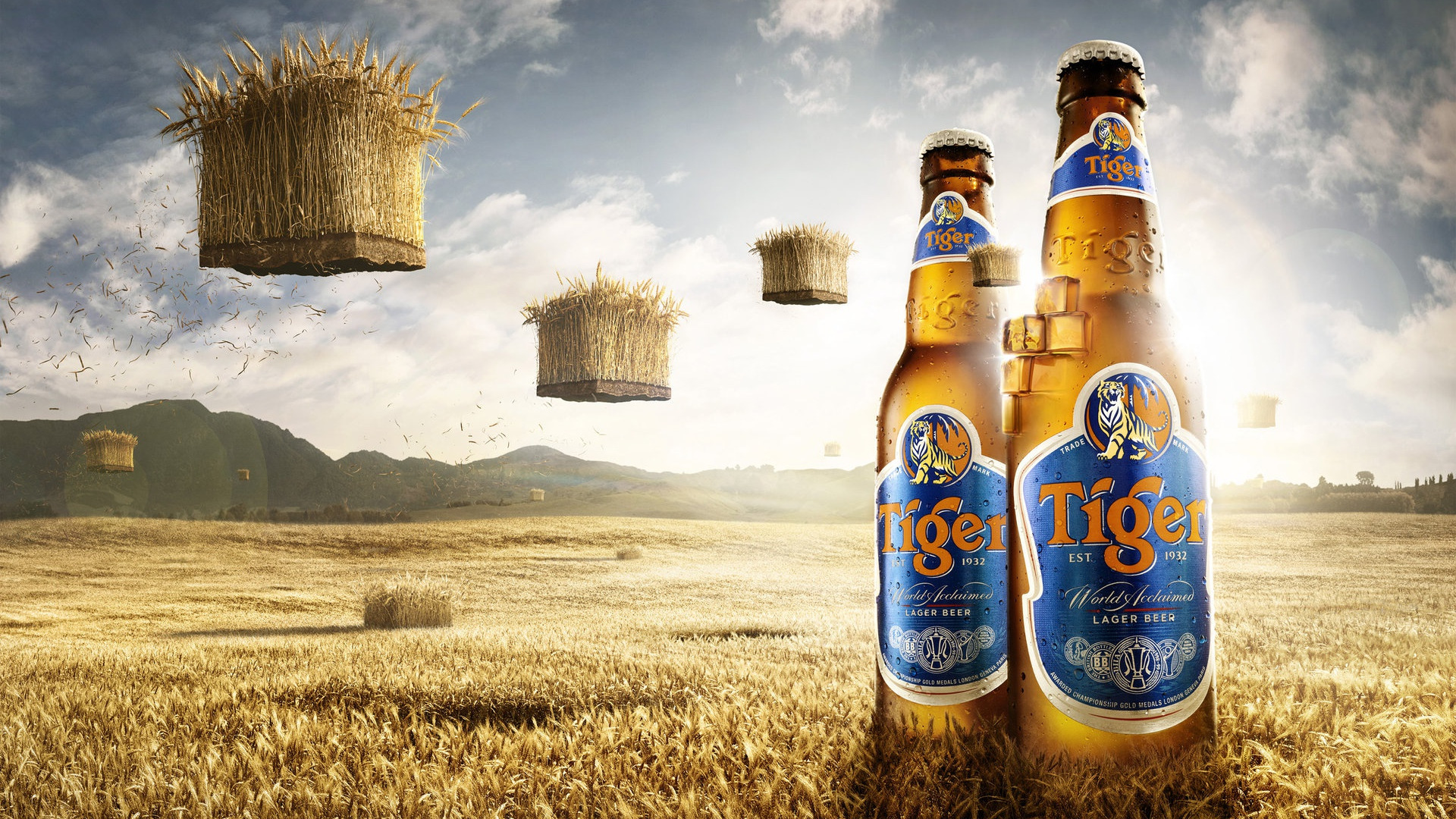 Download wallpaper field, mountains, beer, bottle, Tiger Beer Bali, section  rendering in resolution 1920x1080