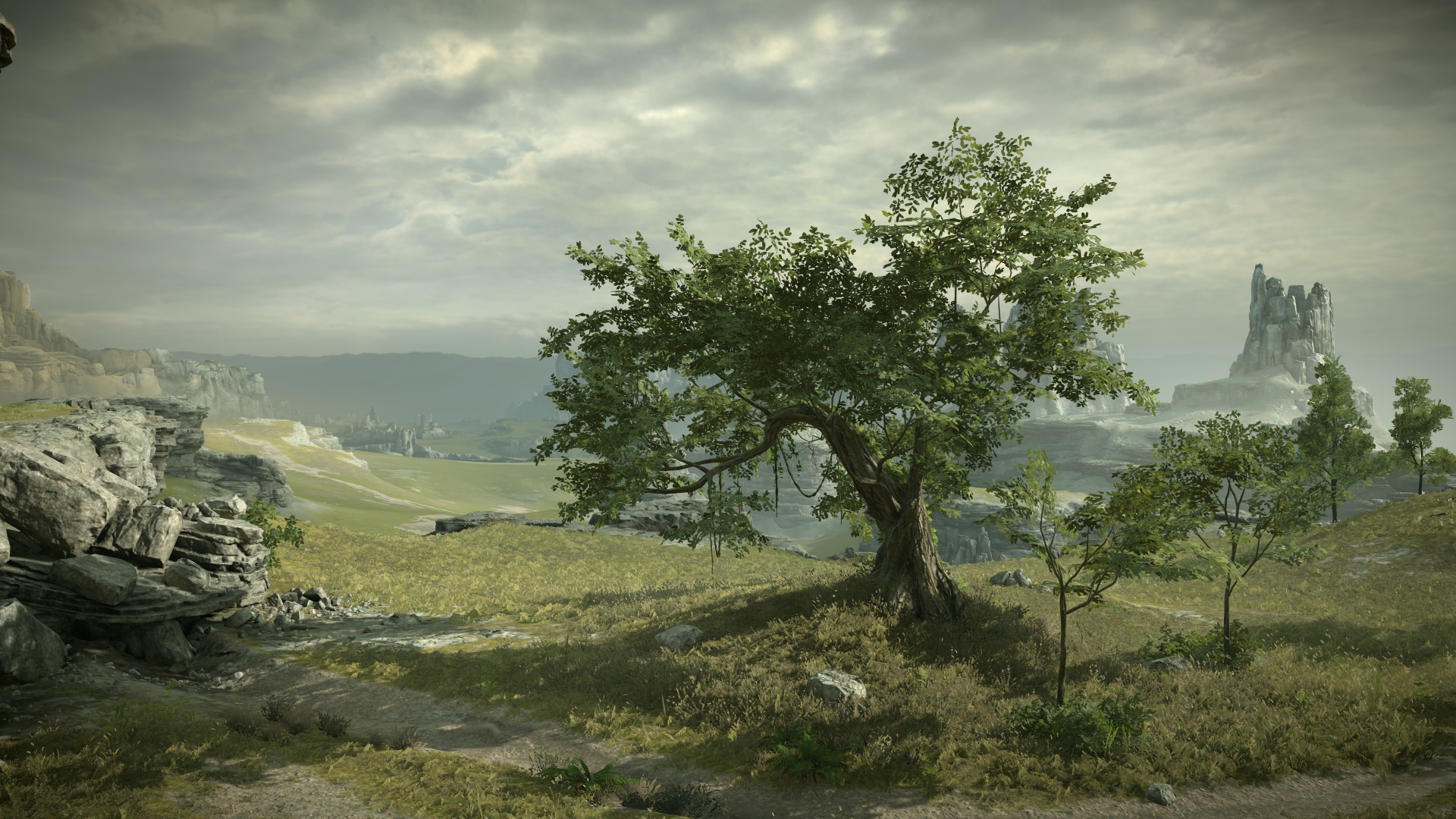 Download wallpaper tree, rocks, view, Shadow of the Colossus, In the shadow  of the colossus, panormama, section games in resolution 1920x1080