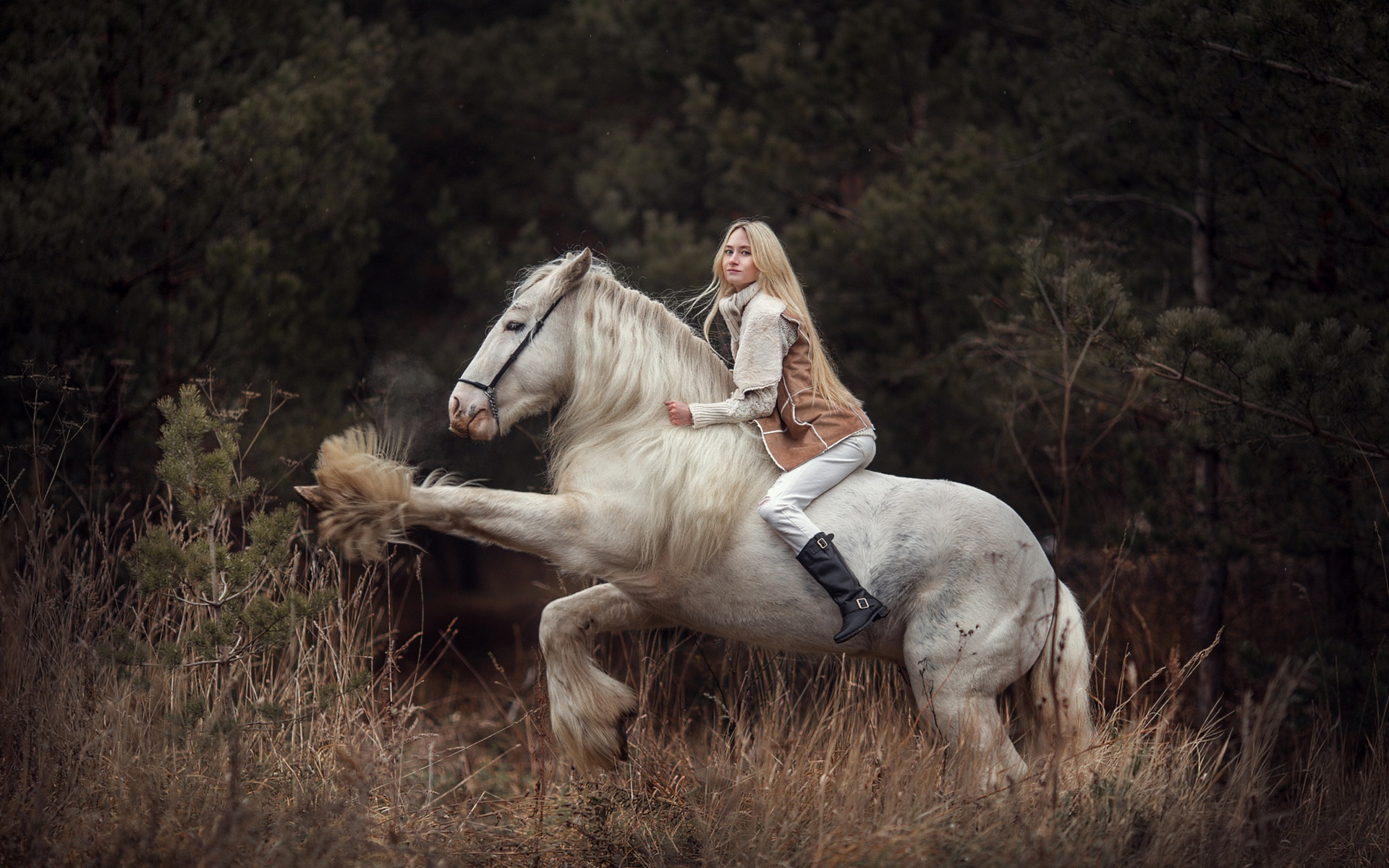 Download wallpaper girl, horse, blonde, rider, section mood 