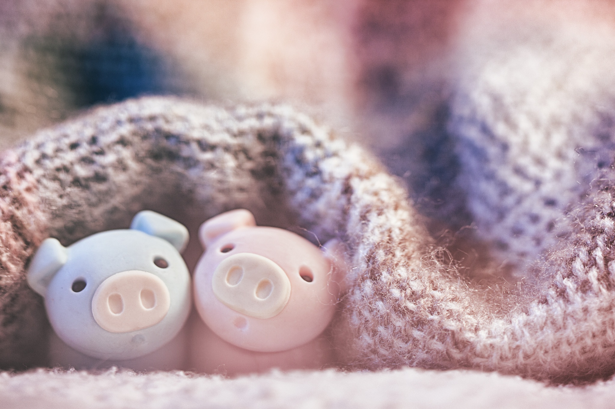 Download wallpaper toys, blanket, cute, pigs, section miscellanea in resolu...