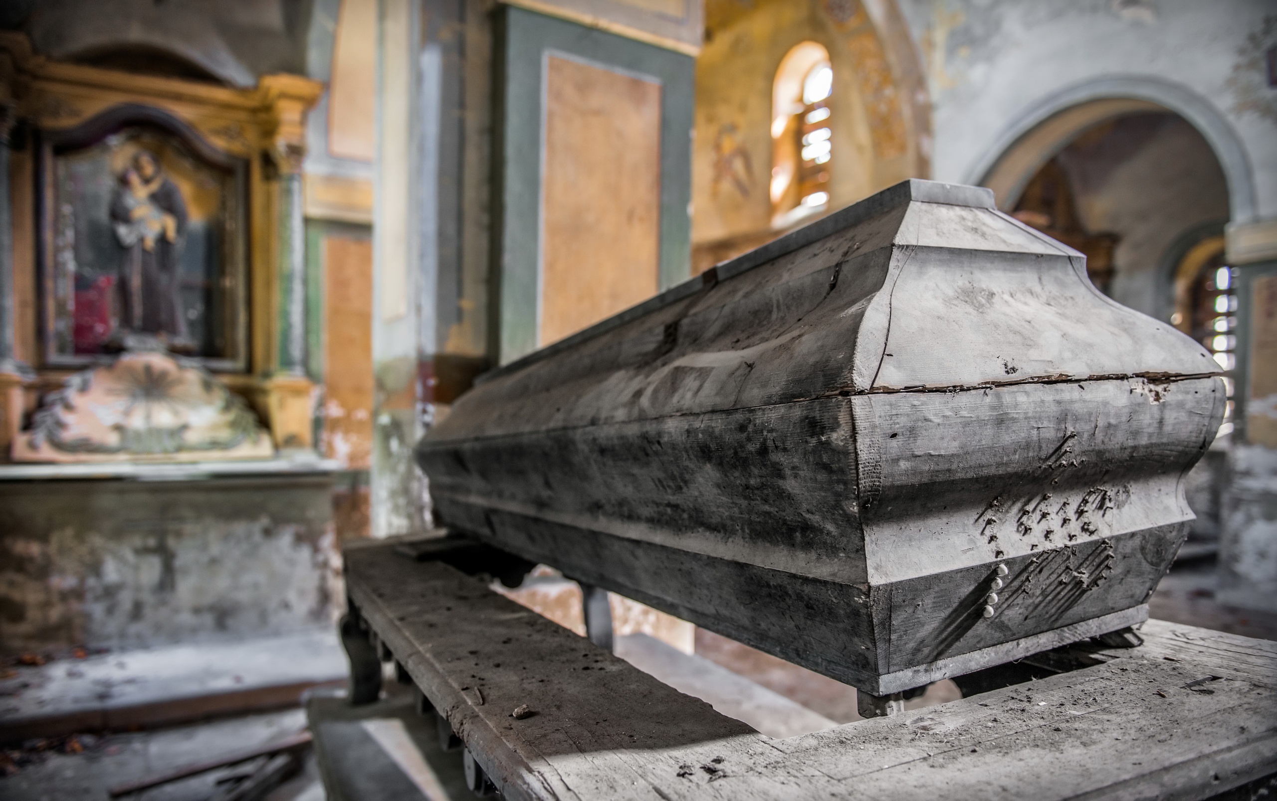 Download wallpaper macro, background, the coffin, section miscellanea in re...