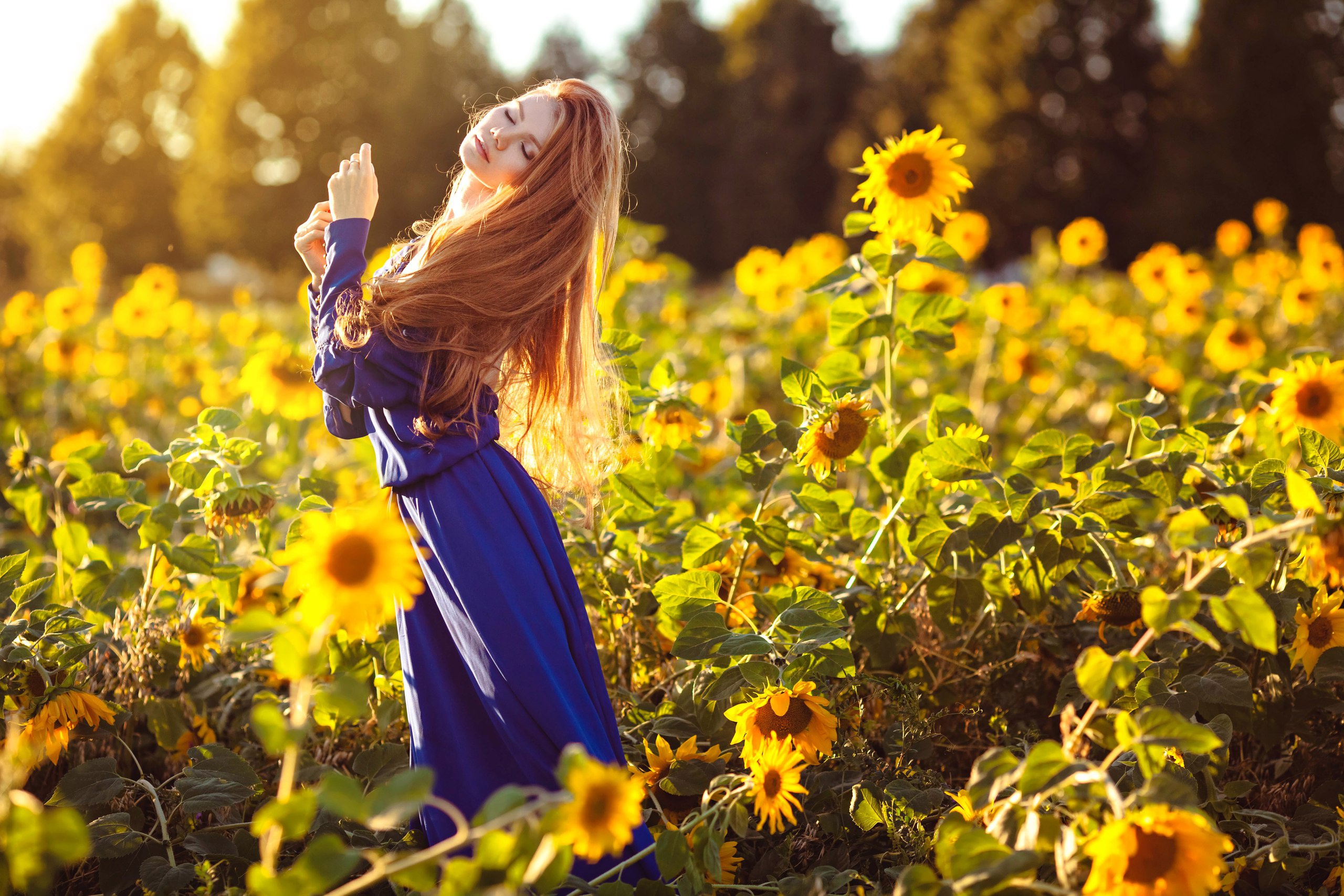 summer, girl, sunflowers, dress, Maria Lazareva. 