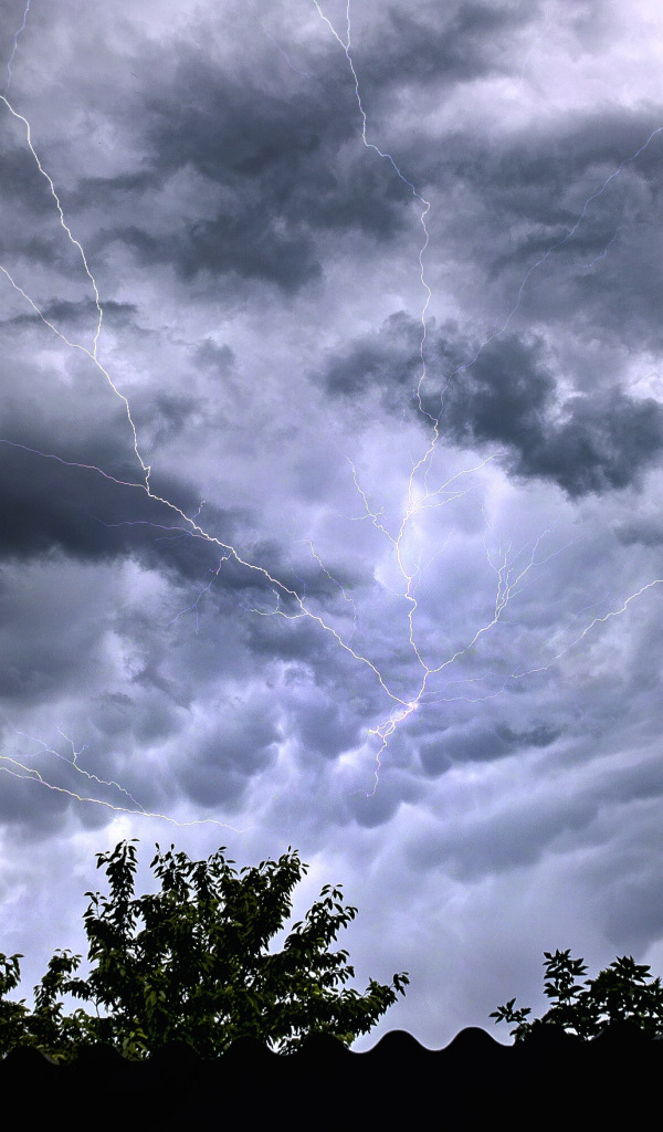 Download wallpaper dark, storm, rain, sky, lightning, cloud, clouds,  section nature in resolution 600x1024