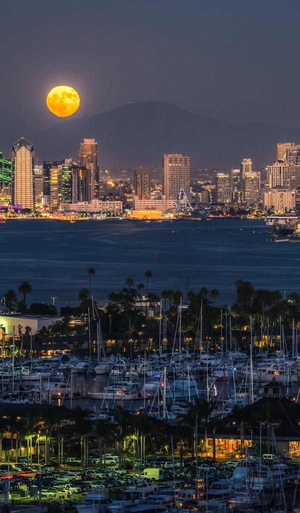 ...lights, palm trees, the moon, building, home, yachts, CA, Bay, USA, prom...