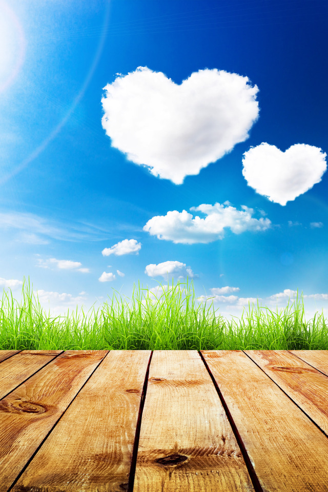 GoodFon.com - Free Wallpapers, download. greens, summer, the sky, grass, th...