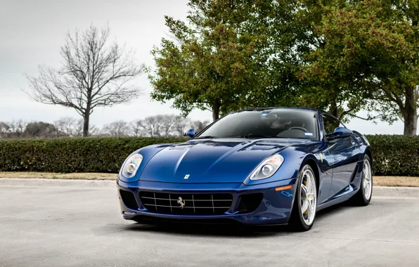Picture Ferrari, Blue, GTB, 599