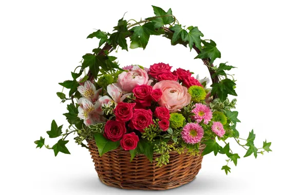 Picture leaves, basket, Lily, roses, bouquet, white background, chrysanthemum