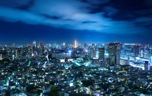 Picture the sky, night, the city, lights, Japan, Tokyo