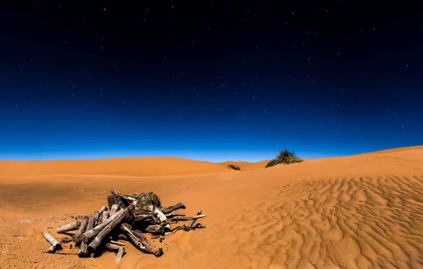 Picture sand, the sky, stars, night, desert, Sahara, driftwood, the Sahara desert, Sugar