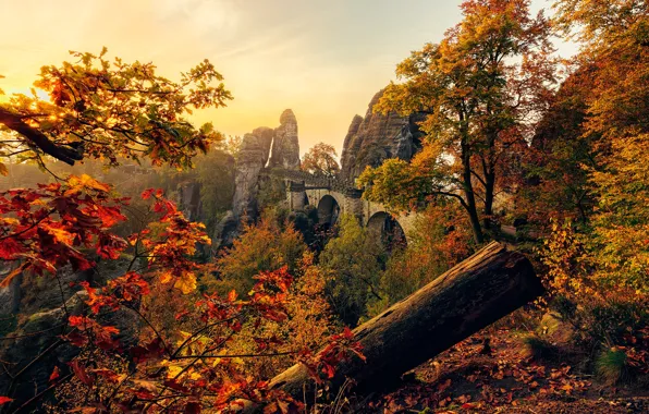 Picture autumn, leaves, the sun, trees, bridge, stones, rocks, Germany, Saxony, Saxony