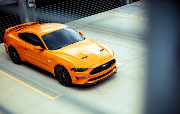 Picture Ford, 2018, Mustang GT, Fastback Sports