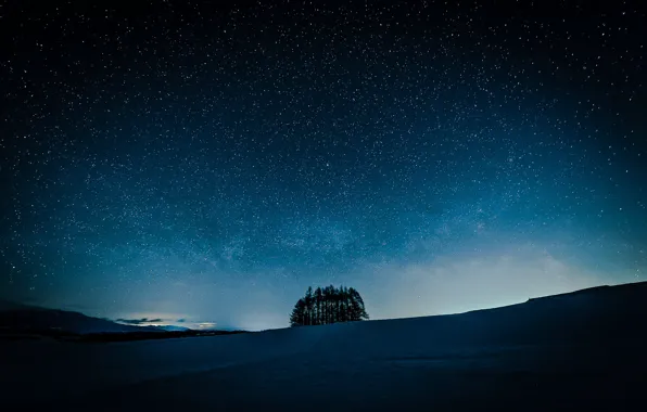 Picture field, the sky, stars, trees, night