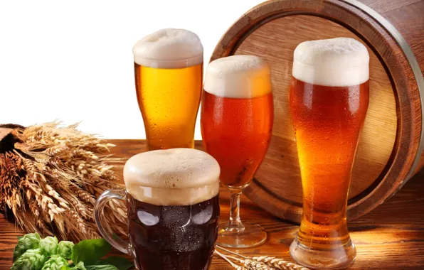 Picture foam, table, glass, beer, mug, white background, glasses, ears, barrel, hops