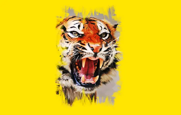 Picture face, tiger, mouth, fangs, grin, art