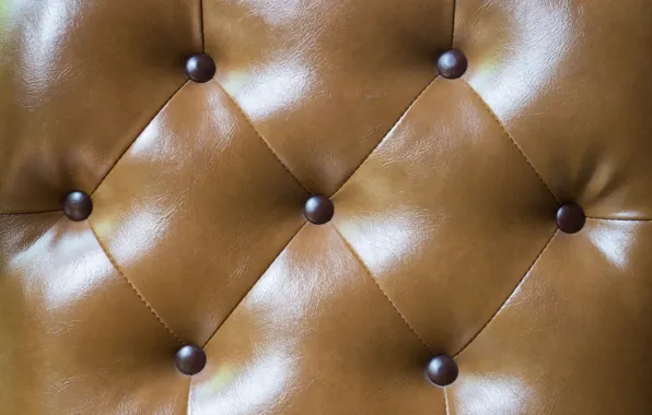 Picture background, texture, leather, texture, background, leather, upholstery, luxury