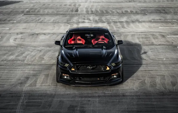 Picture Mustang, Ford, Front, Black, Face, Sight