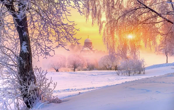 Picture winter, frost, the sun, light, snow, trees, nature, temple, Russia