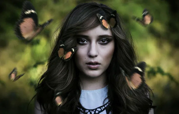 Picture look, girl, butterfly, face, mood, hair