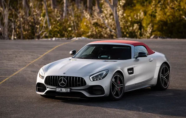 Picture Roadster, Mercedes-Benz, supercar, AMG, 2018, GT C