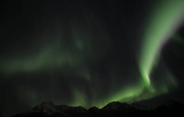 Picture green, sky, night, norway, aurora borealis, northenlights