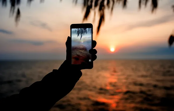 Picture sea, sunset, photo, phone