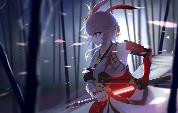 Picture girl, sword, anime, Benghuai Xueyuan