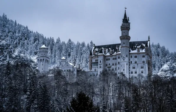 Picture winter, forest, castle, Germany, Bayern, Germany, Bavaria, Neuschwanstein Castle, Neuschwanstein Castle, Schwangau, Schwangau