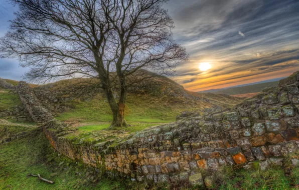 Picture the sky, grass, the sun, sunset, stones, wall, tree, hills, field, HDR, construction, UK, Hadrians …
