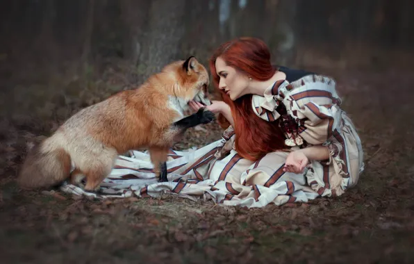 Picture forest, girl, dress, Fox, red, redhead