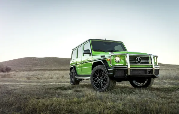Picture Mercedes, AMG, G63, W463