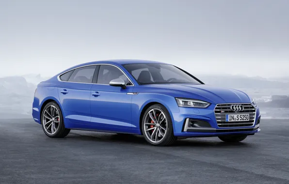 Picture Audi, German, Blue, 2018, A5, S5