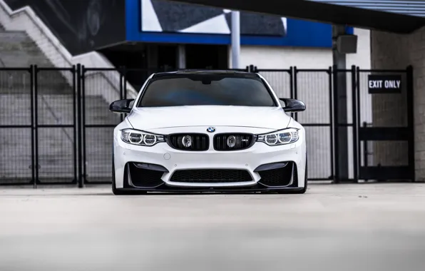 Picture BMW, Front, White, Face, F82, Sight