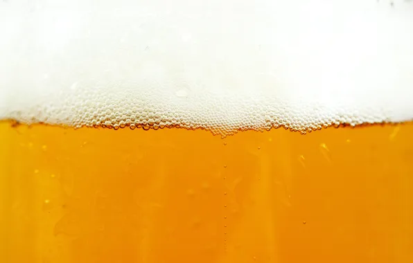 Picture foam, beer, beer