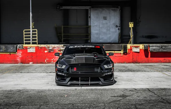 Picture Mustang, Ford, Front, Black, Face