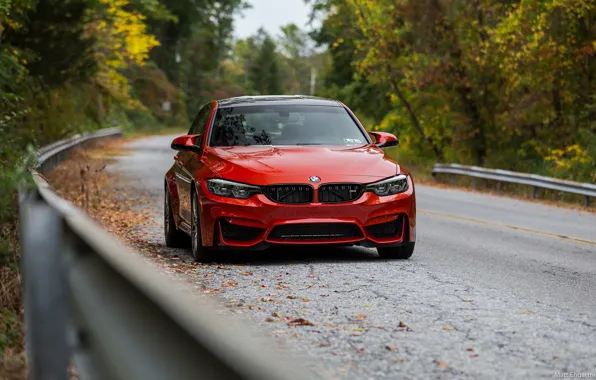 Picture BMW, Autumn, Road, RED, Forest, F80