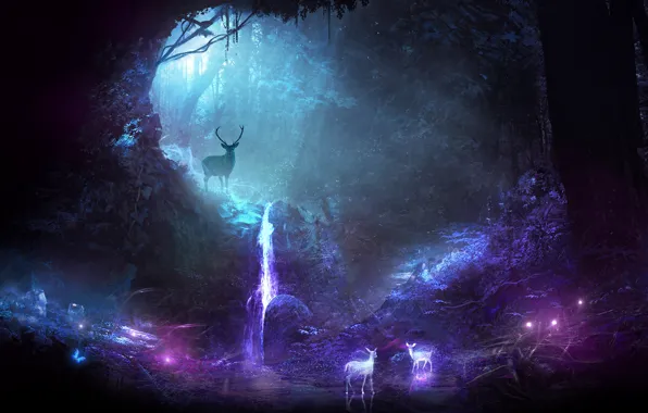 Picture forest, light, trees, night, deer, art, horns