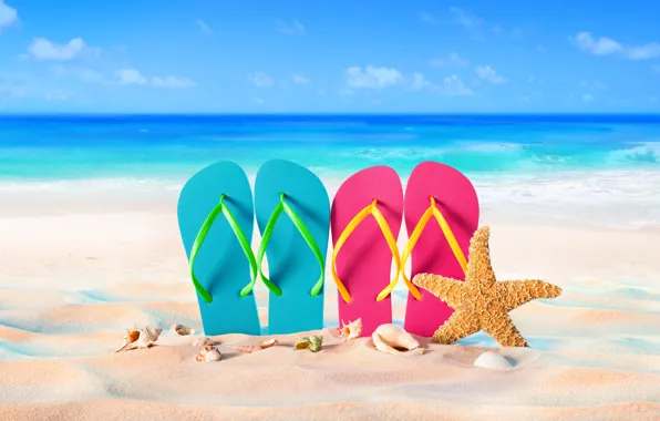 Picture sand, sea, beach, summer, stay, shell, summer, beach, vacation, sand, slates, vacation, starfish, seashells