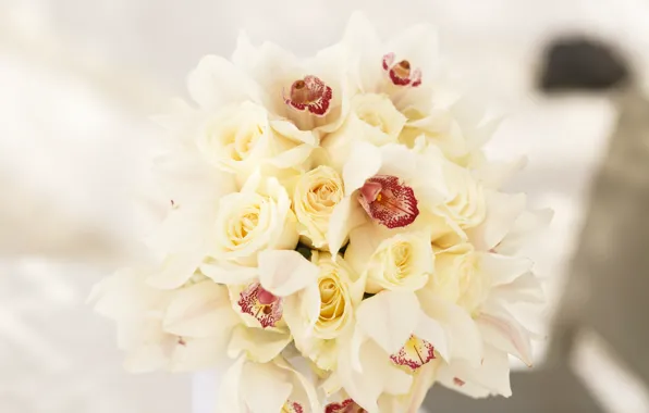 Picture flowers, roses, bouquet, white, orchids