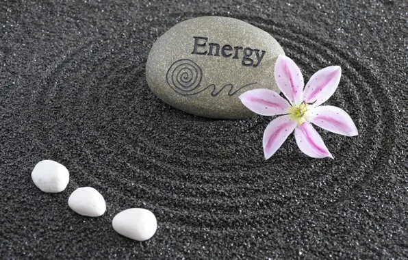 Picture energy, flowers, stone, Japan, garden, Japan, stone, Zen, energy, garden, philosophy, Zen, sand monk