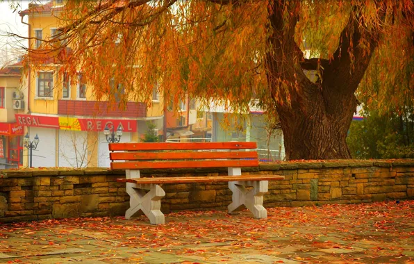 Picture Autumn, Bench, Street, Fall, Foliage, Autumn, Street, Colors, Leaves