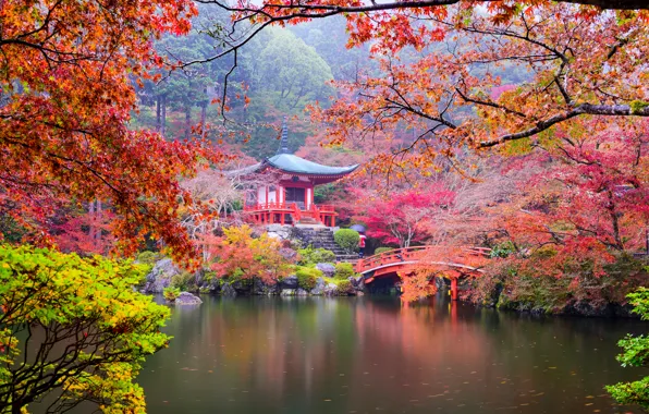 Picture autumn, leaves, trees, branches, bridge, pond, Park, stones, Japan, ladder, pagoda, Kyoto, the bushes, colorful