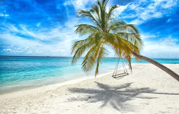 Picture sand, sea, beach, the sun, palm trees, swing, shore, summer, beach, sea, island, sand, paradise, …