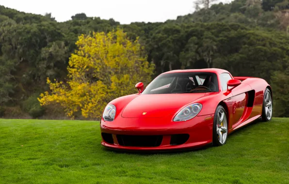 Picture Porsche, Red, Carrera