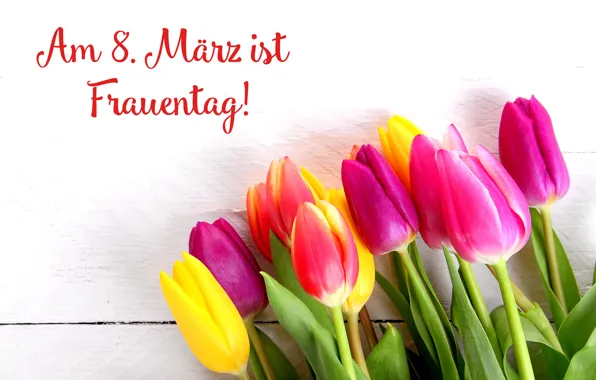 Picture flowers, holiday, bouquet, tulips, March 8, women's day