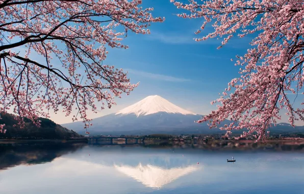 Picture water, flowers, lake, boat, spring, Japan, Sakura, mount Fuji, Fuji
