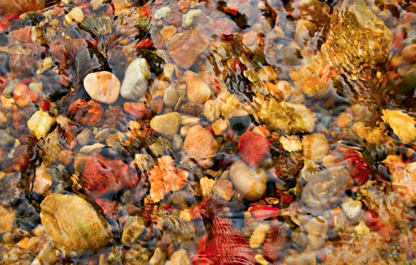Picture water, stones, texture