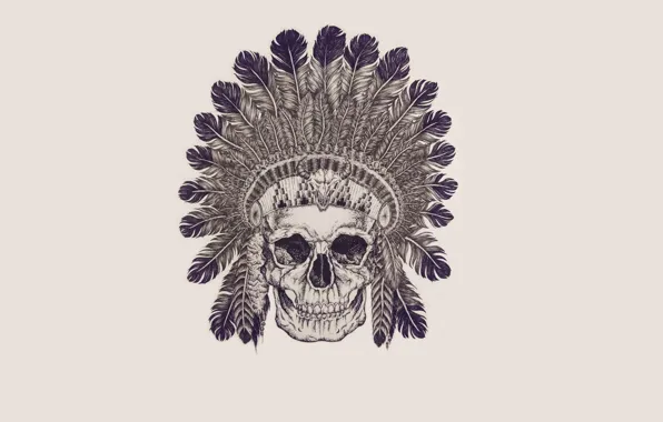 Picture skull, feathers, skeleton, sake, Indian, indian