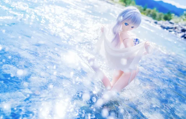 Picture water, the sun, toy, doll